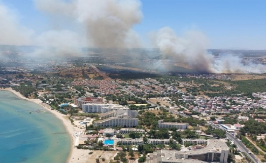 Aydın'da peş peşe çıkan yangınlar kontrol altına alındı