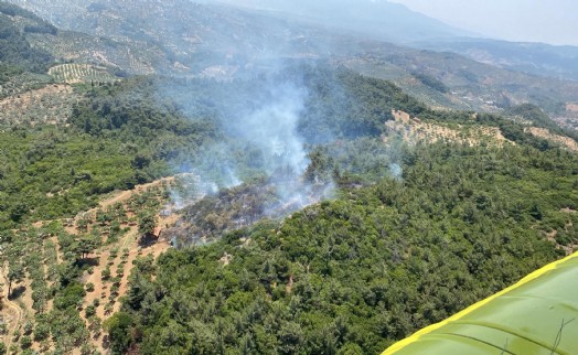 Aydın'da orman yangını: 3 hektar alan zarar gördü!