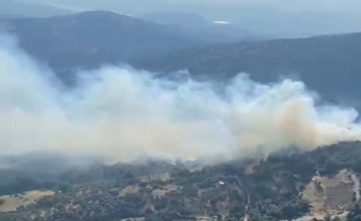 Aydın'daki orman yangını kontrol altına alındı