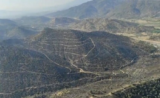 Aydın'da orman yangını kontrol altında; 320 hektar alan zarar gördü