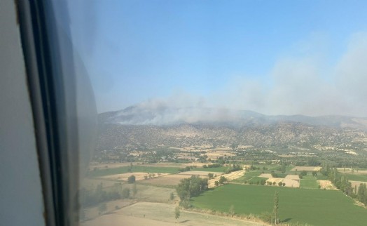 Aydın'ın Bozdoğan'da maki yangını