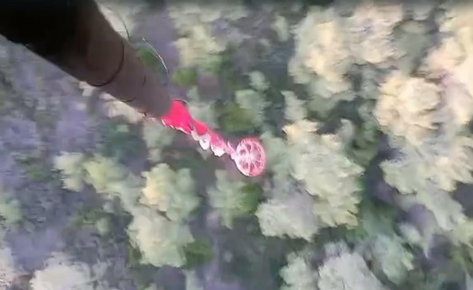 Aydın ve Muğla'daki orman yangınları söndürüldü