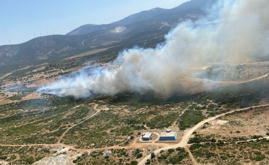 Aydın'da maki yangını kontrol altında