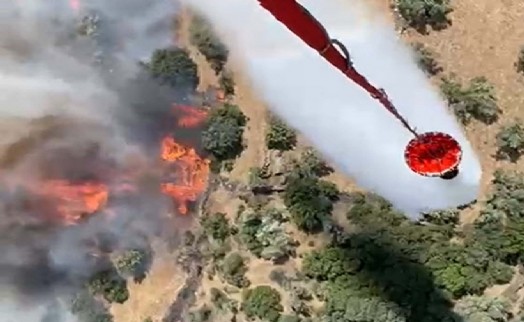 Aydın'da iki ayrı yangında 24 hektar zeytinlik zarar gördü