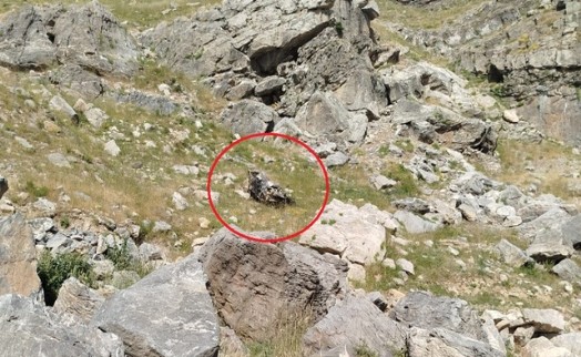 Batman'da korkunç kaza: 5 ölü 1 yaralı
