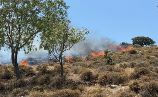 Bodrum'da korkutan maki yangını