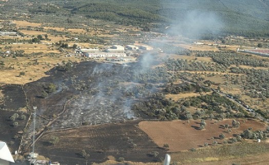 Bodrum'da tarım arazisinde yangın, 2 hektar zarar gördü