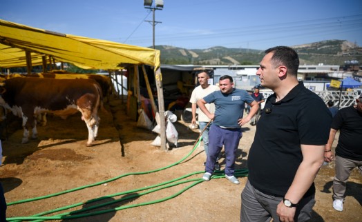 Bornova bayrama hazır: Eşki, Işıkkent Kurban Pazarı'nda incelemelerde bulundu