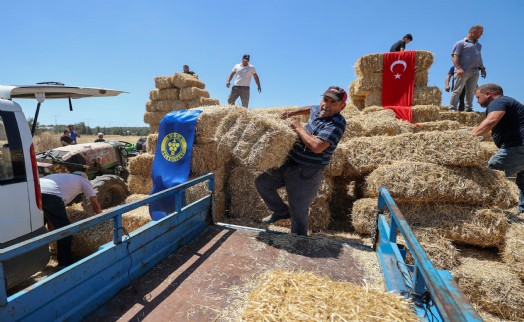 Buca Belediyesi'nden hayvancılık yapan köylülere saman balyası desteği