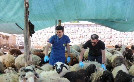 Buca'da Kurban Bayramı öncesi sıkı denetim