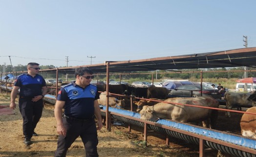 Çiğli'de kurban pazarlarına ve kesim noktalarına sıkı denetim