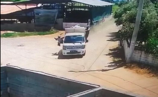 Çöp aracından düşen işçi ağır yaralandı; o anlar kamerada