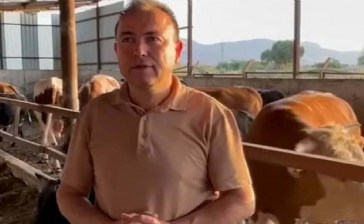 Dananın saldırısına uğrayan iş insanı, 3 gün sonra öldü