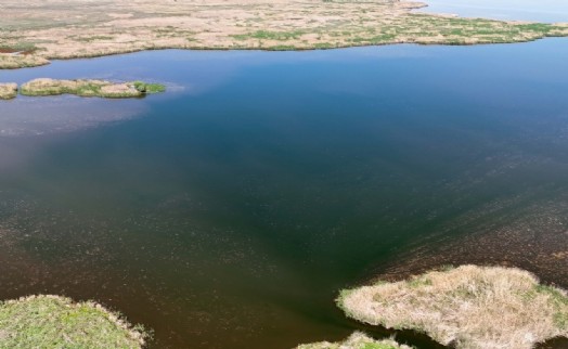 Eber Gölü'nde su derinliği önemli ölçüde düştü!