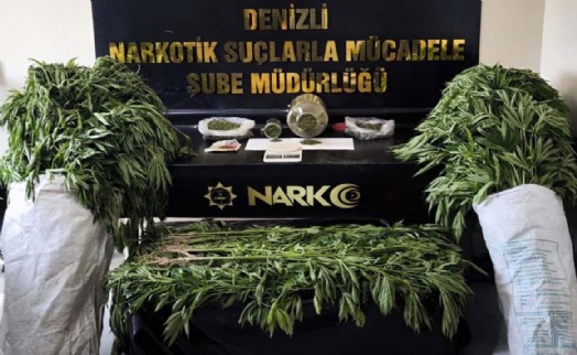 Evinin bahçesini zehir tarlasına çeviren şahıs tutuklandı