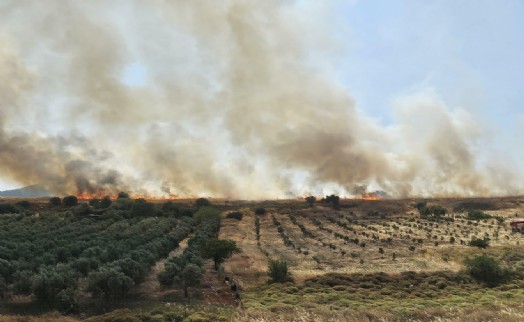 Foça'da ot yangını; 4 hektarlık alan zarar gördü