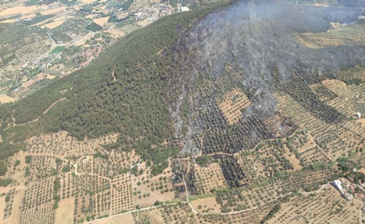 Foça'daki orman yangını soruşturmasında 1 tutuklama