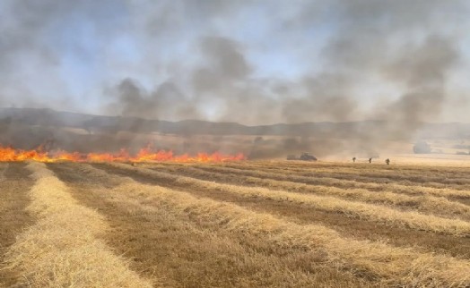 Gediz'de çıkan tarla yangınında, 5 dönüm ekili alan küle döndü