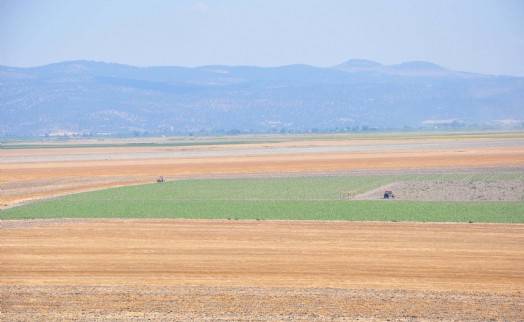 Gördes Gölü tarla oldu! Kurtulması için son çağrı