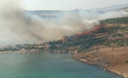 İzmir Dikili'de maki yangını