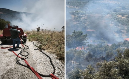 İzmir İtfaiyesinden üç ilçede yangınla mücadele