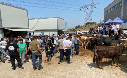 İzmir'de kurban bayramı yoğunluğu
