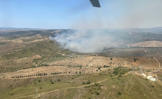 İzmir'de makilik alanda yangın