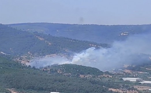 İzmir Kemalpaşa'da orman yangını