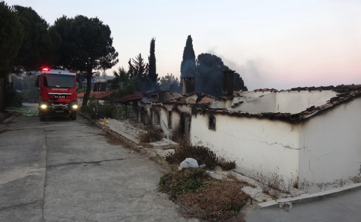 İzmir'de yangın kabusu; Hasar sabah olunca ortaya çıktı