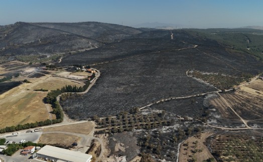 İzmir'deki orman yangını 21,5 saatte kontrol altına alındı