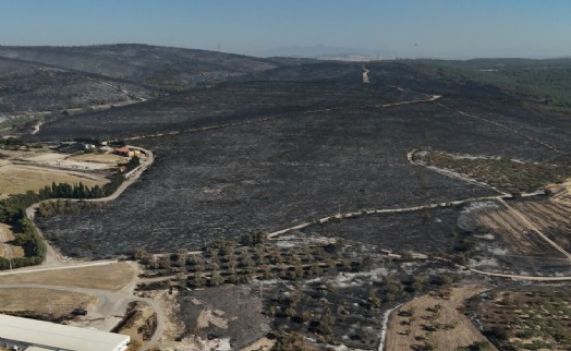 İzmir'deki orman yangını kontrol altına alındı