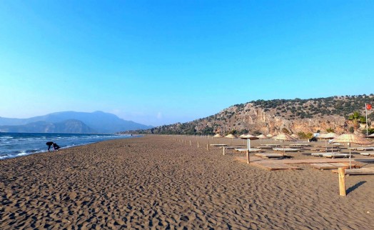 İztuzu Plajı'nda caretta yuva sayısı 300'e ulaştı