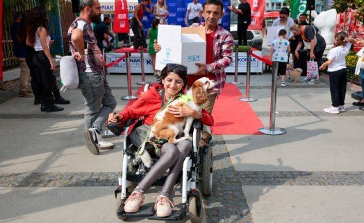 Konak'ta can dostlara özel şenlik: Yeni yuvalarına kavuştular