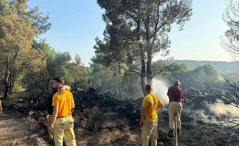 Mangal uğruna ormanı yaktı! O şüpheli tutuklandı