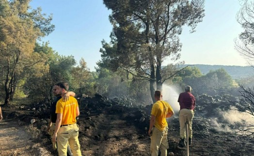 Mangal uğruna ormanı yaktı! O şüpheli tutuklandı