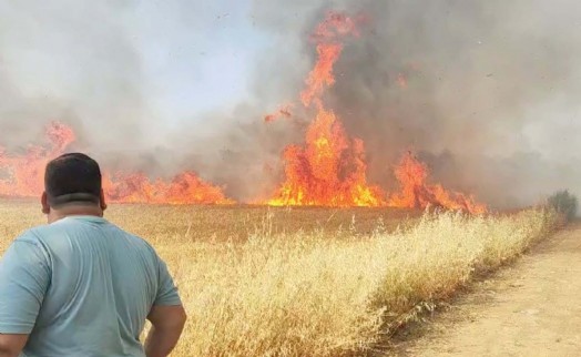 Manisa'da buğday tarlasında yangın
