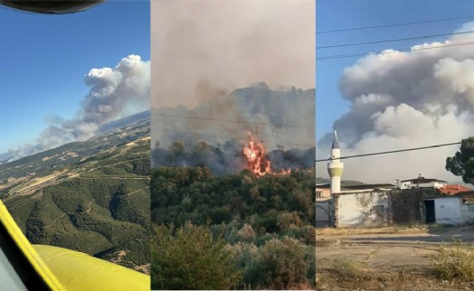 Manisa'da çöplük yangını ormana sıçradı
