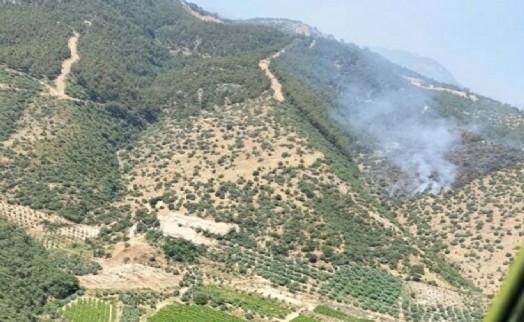 Manisa'da makilik alandaki yangın ormana sıçradı