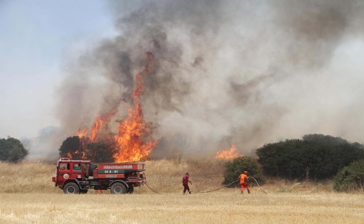 Manisa'da makilik yangını 3 saatte kontrol altında