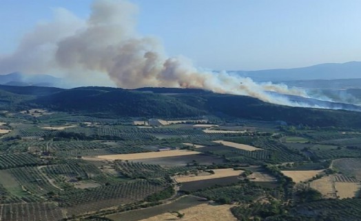 Manisa'daki orman yangını kontrol altına alındı!