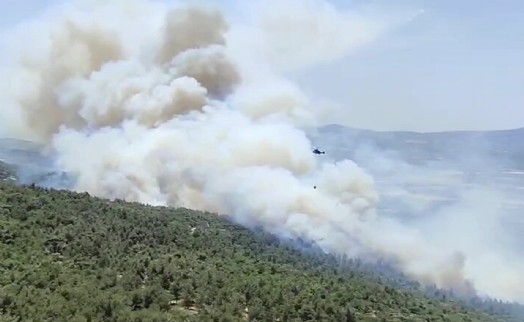 Manisa'da orman yangını