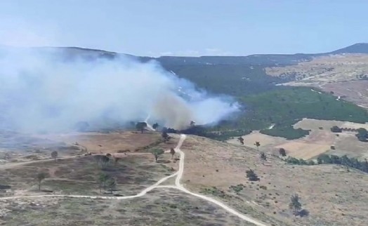 Manisa'da çifte orman yangını