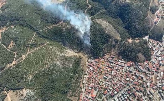 Manisa'da yangın bilançosu: 2 hektar kül oldu