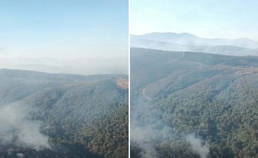 Manisa'da yangın kabusunda 3'üncü gün