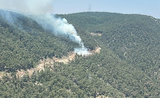 Manisa'daki orman yangını 4 saatte söndürüldü