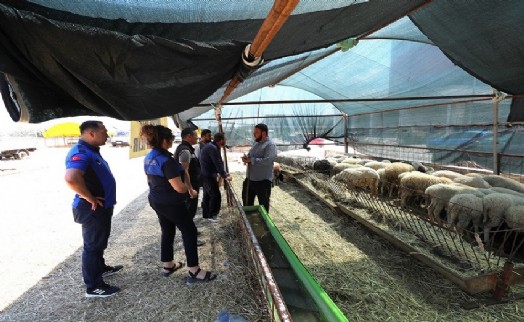 Menderes'te Kurban Bayramı öncesi sıkı denetim