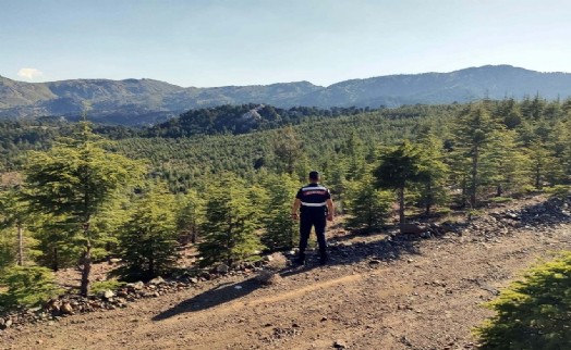 Muğla'da ormanlara girişler yasaklandı
