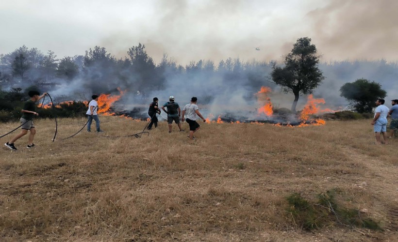 Muğla'da yılın ilk 6 ayında 380 anız yangınına müdahale edildi