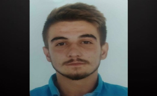 Refüjdeki ağaca çarpan kamyonetin sürücüsü öldü