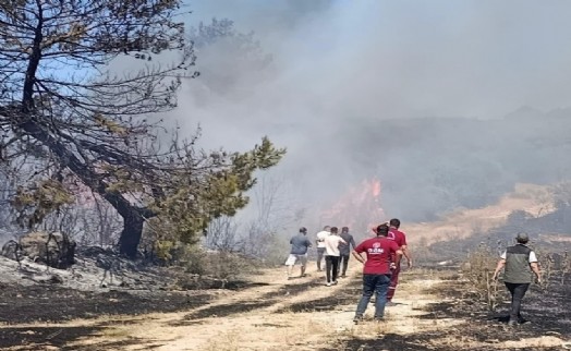 Semaveri yakarken ormanı da yaktı; gözaltına alındı